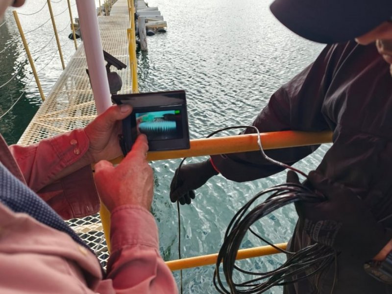 Mão segurando Equipamento eletrônico de monitoramento da água