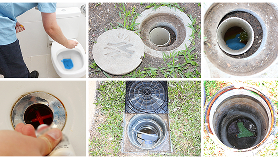 Imagem dos procedimentos de vistoria