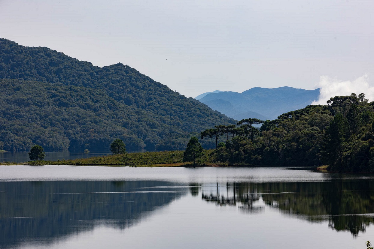 Barragem do Cayuguava - Piraquara