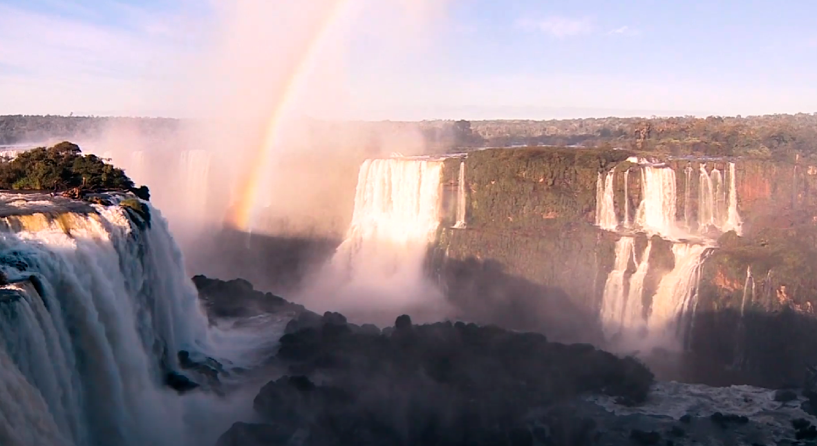 Dia Mundial do Meio Ambiente