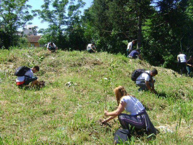 131114__sustentabilidade_curitiba1_plantio.jpg