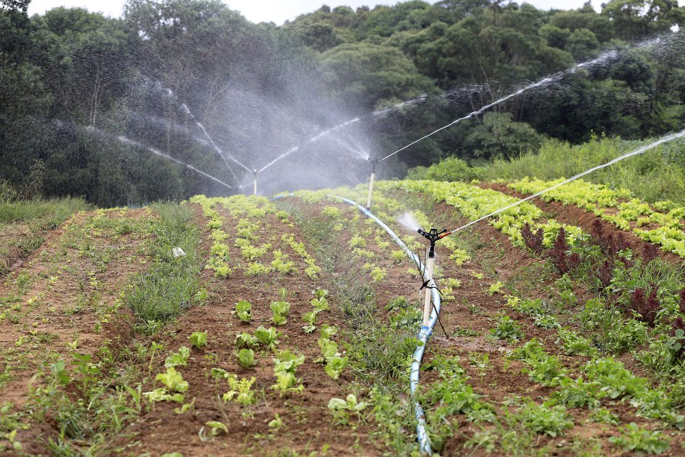 201019_irrigacao_agricultura_2.jpg
