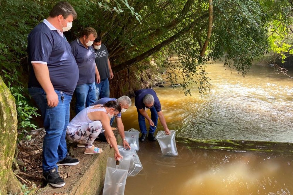 211123_-_salto_do_lontra_-_lancamento_peixes_2.jpg