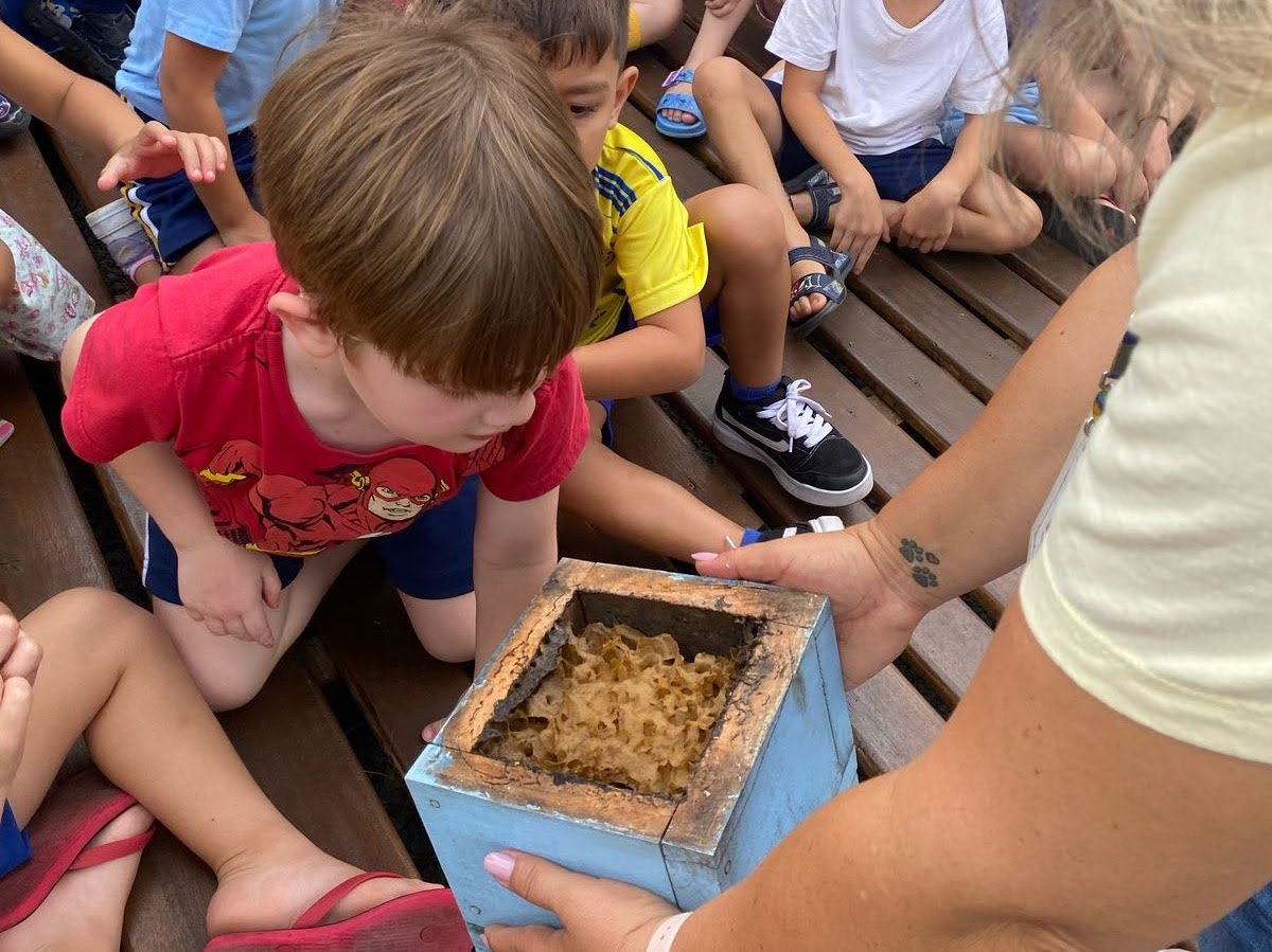 Jardins de Água e Mel - Selo Sesi ODS