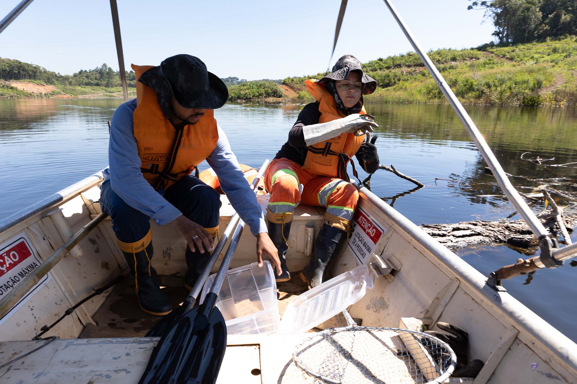 Cerca de 2 mil animais silvestres já foram resgatados com ajuda de embarcações