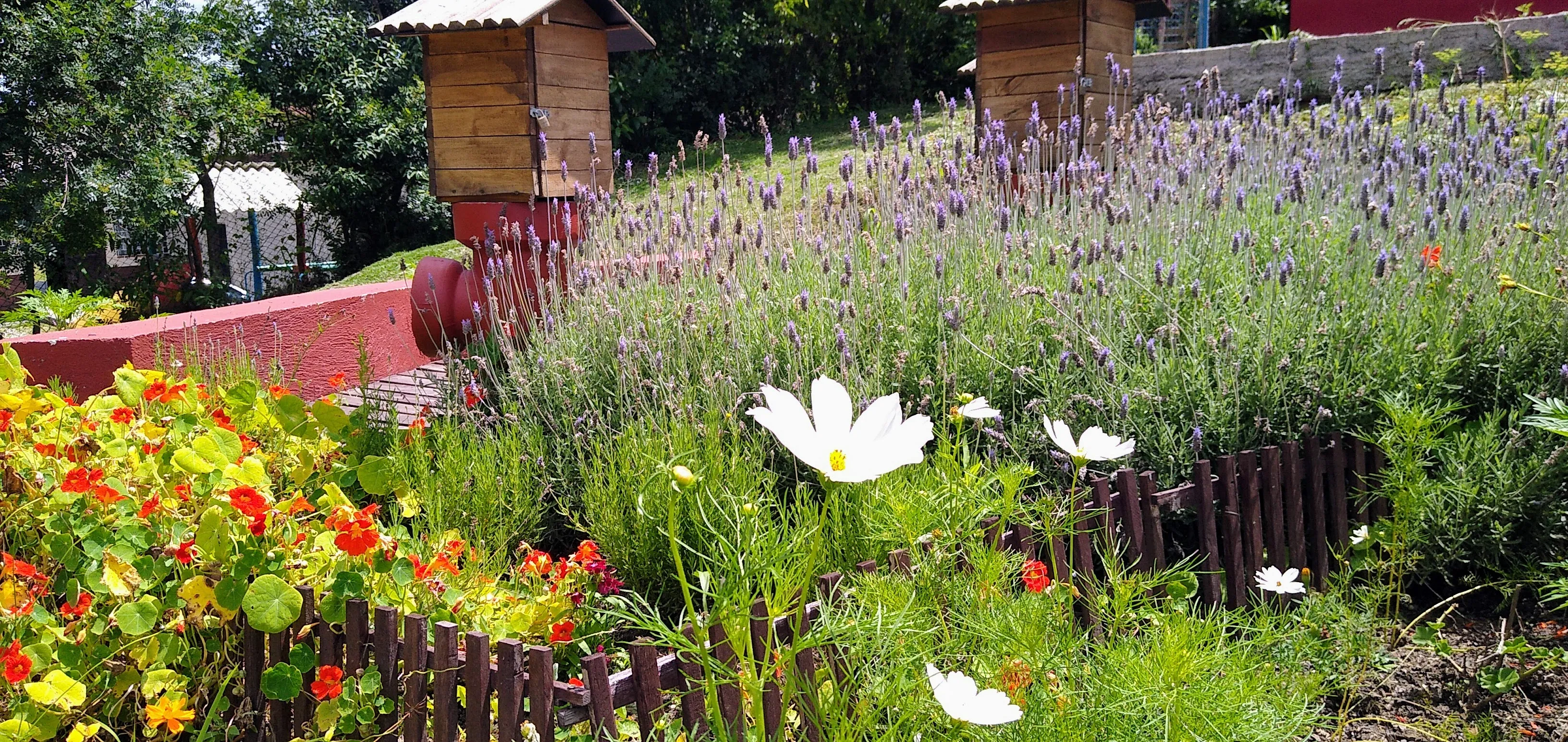 Jardim Água e Mel