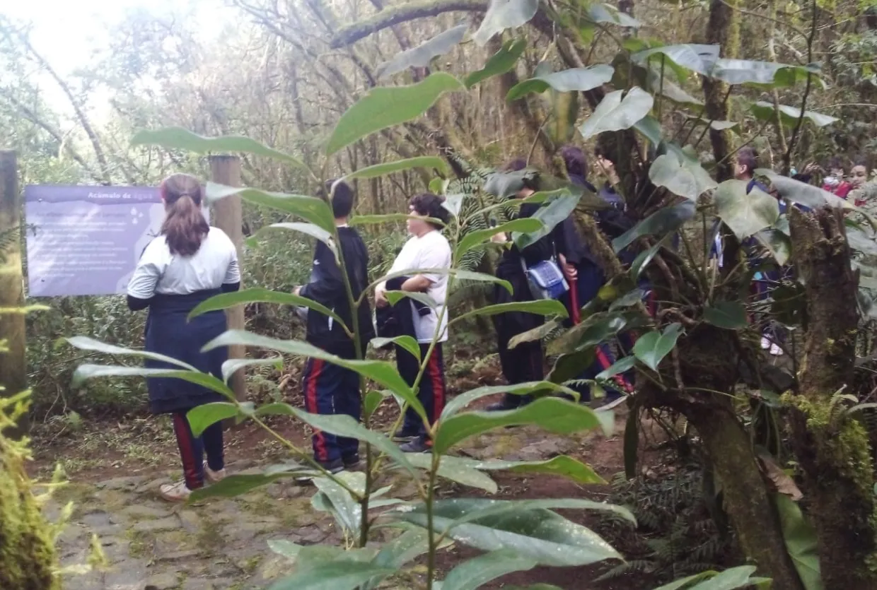 Reservatório do Carvalho - Piraquara