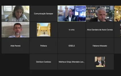 20210901_-_comissao_de_meio_ambiente_-_ver_maria_leticia_-_videoconferencia_captura_de_tela2.jpg