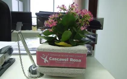 cascavel_no_outubro_rosa_1.jpg