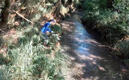 Empregado analisa condição do rio